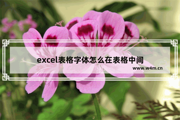 excel表格字体怎么在表格中间