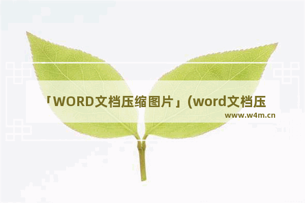 「WORD文档压缩图片」(word文档压缩图片最好的软件是什么)