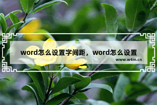 word怎么设置字间距，word怎么设置字间距和行间距