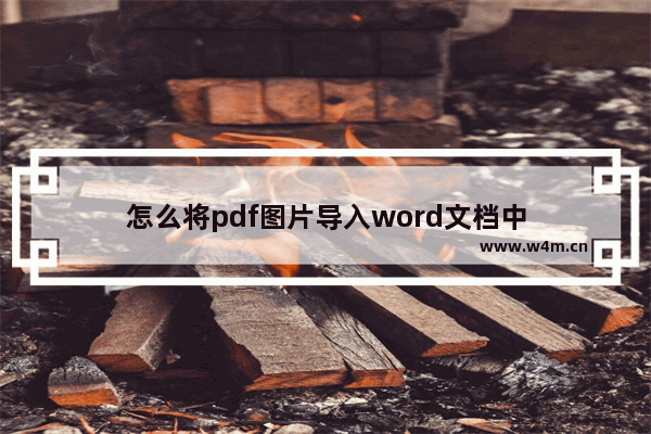 怎么将pdf图片导入word文档中