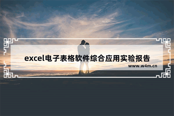 excel电子表格软件综合应用实验报告