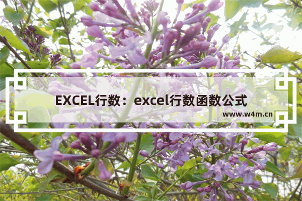 EXCEL行数：excel行数函数公式