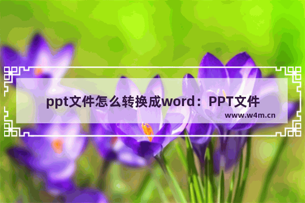 ppt文件怎么转换成word：PPT文件怎么转换成word格式