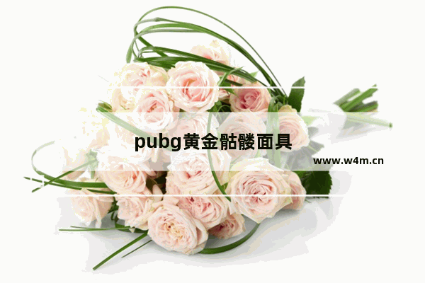 pubg黄金骷髅面具