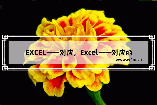 EXCEL一一对应，Excel一一对应函数