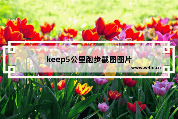 keep5公里跑步截图图片