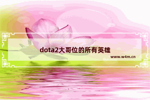 dota2大哥位的所有英雄