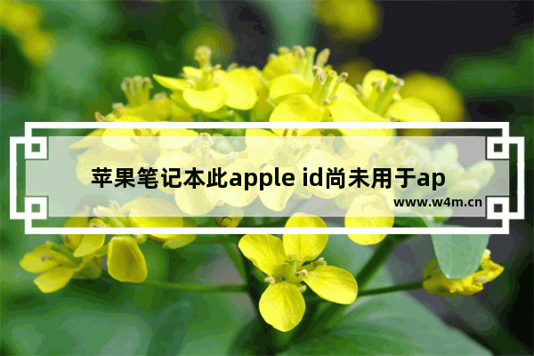 苹果笔记本此apple id尚未用于app store怎么办