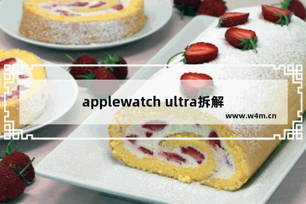 applewatch ultra拆解