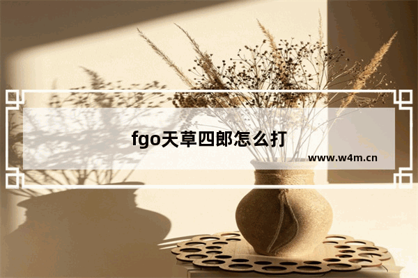 fgo天草四郎怎么打