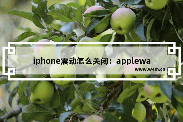 iphone震动怎么关闭：applewatch解锁iphone震动怎么关闭