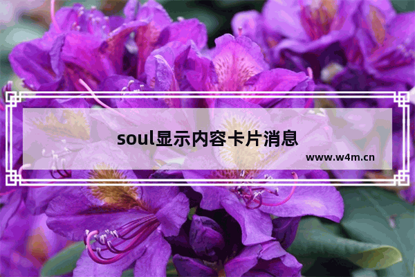 soul显示内容卡片消息