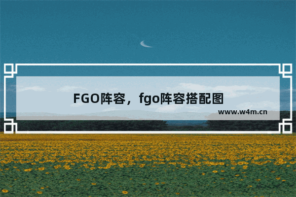 FGO阵容，fgo阵容搭配图