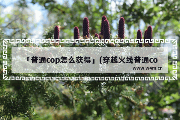 「普通cop怎么获得」(穿越火线普通cop怎么获得)