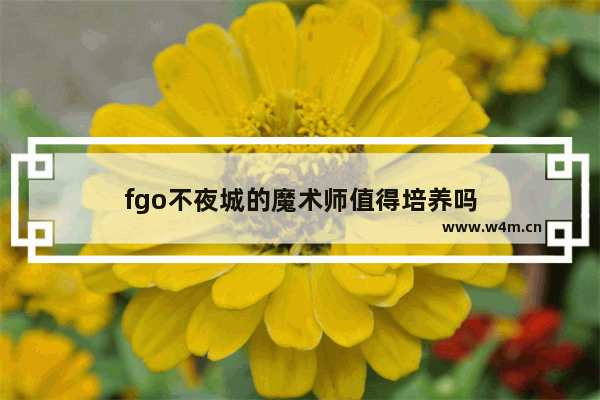 fgo不夜城的魔术师值得培养吗