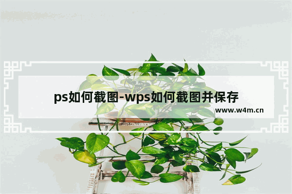 ps如何截图-wps如何截图并保存