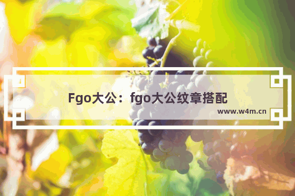 Fgo大公：fgo大公纹章搭配