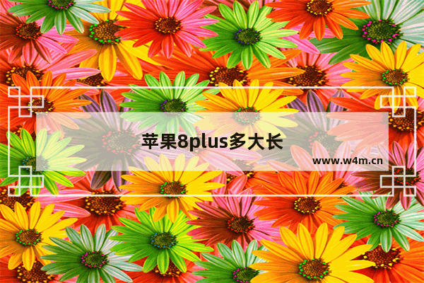 苹果8plus多大长