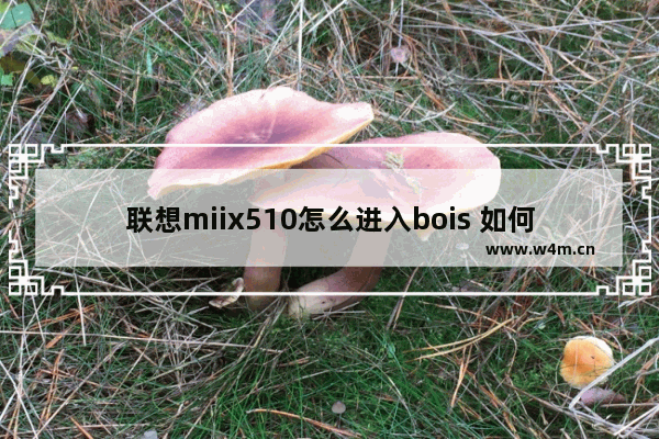 联想miix510怎么进入bois 如何进入联想Miix510的BIOS界面