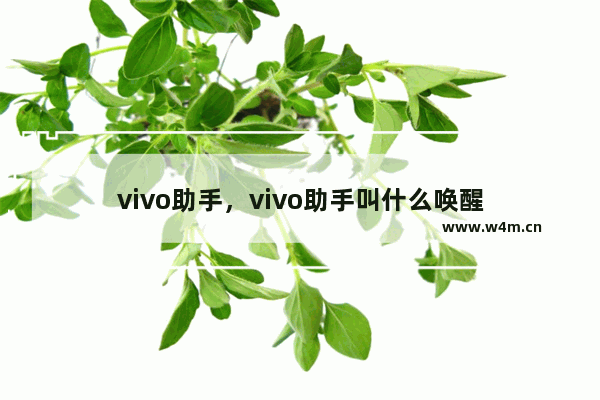 vivo助手，vivo助手叫什么唤醒