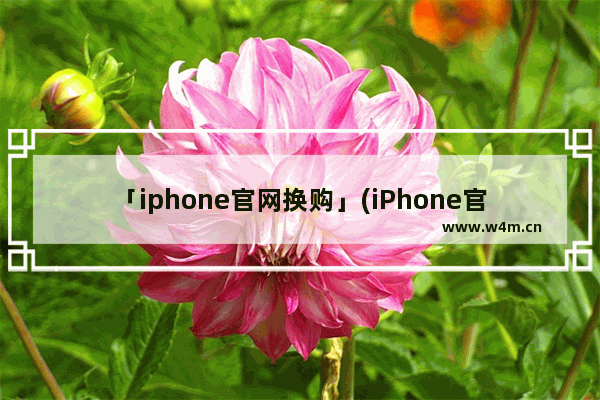 「iphone官网换购」(iPhone官网换购没有手机用)