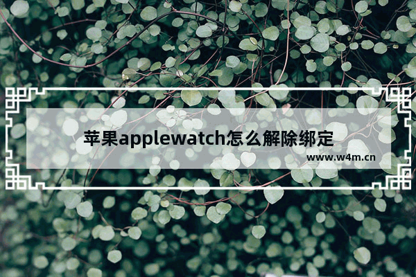 苹果applewatch怎么解除绑定