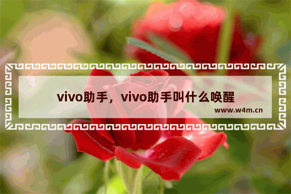 vivo助手，vivo助手叫什么唤醒