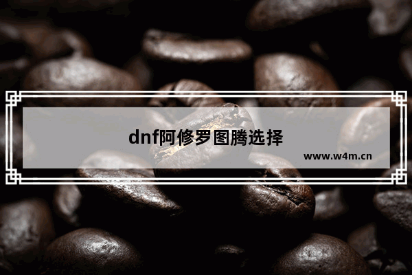 dnf阿修罗图腾选择