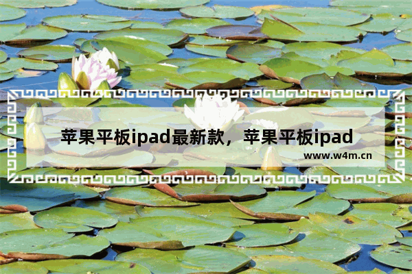 苹果平板ipad最新款，苹果平板ipad最新款128g公开版有pencil吗