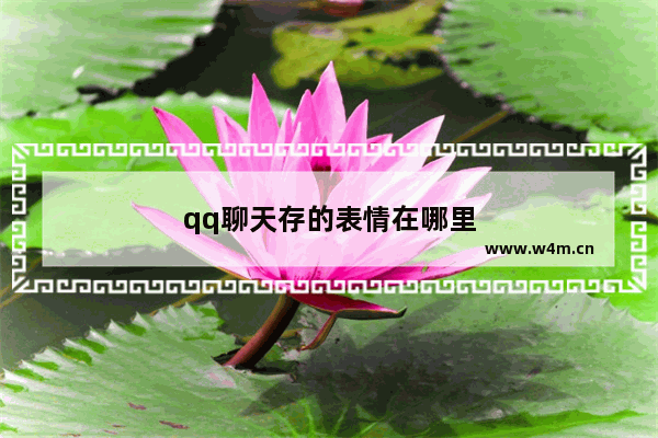 qq聊天存的表情在哪里