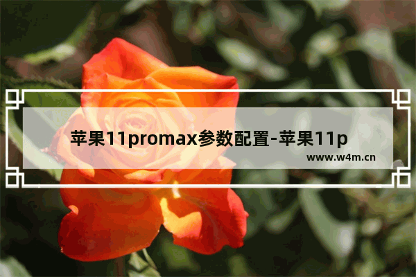 苹果11promax参数配置-苹果11promax参数配置详细图片