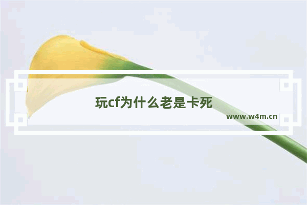 玩cf为什么老是卡死