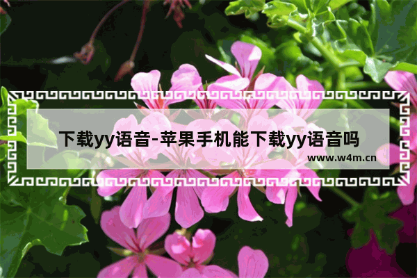 下载yy语音-苹果手机能下载yy语音吗