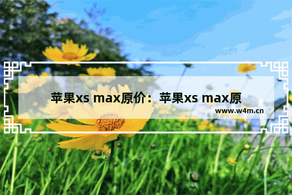 苹果xs max原价：苹果xs max原价多少钱