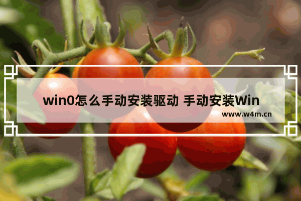 win0怎么手动安装驱动 手动安装Win10驱动：详细步骤