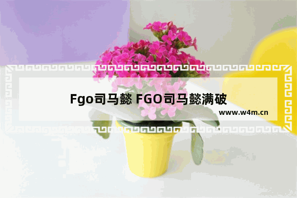 Fgo司马懿 FGO司马懿满破