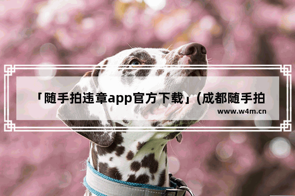 「随手拍违章app官方下载」(成都随手拍违章app官方下载)