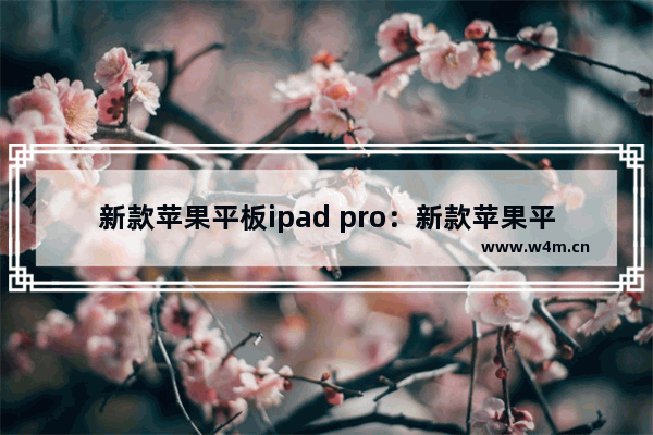 新款苹果平板ipad pro：新款苹果平板ipad pro怎么关机