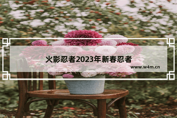 火影忍者2023年新春忍者