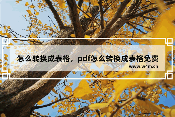 怎么转换成表格，pdf怎么转换成表格免费