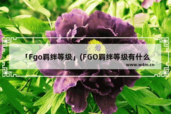 「Fgo羁绊等级」(FGO羁绊等级有什么用)