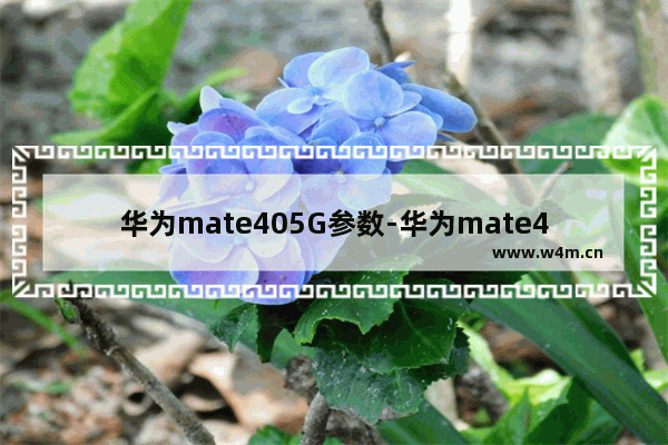 华为mate405G参数-华为mate405g参数配置详情