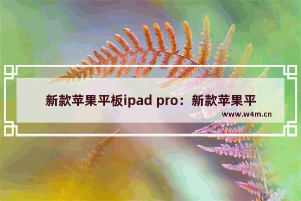 新款苹果平板ipad pro：新款苹果平板ipad pro怎么关机