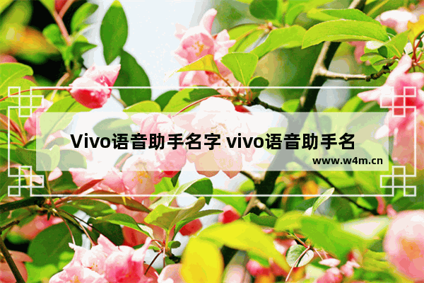 Vivo语音助手名字 vivo语音助手名字怎么叫