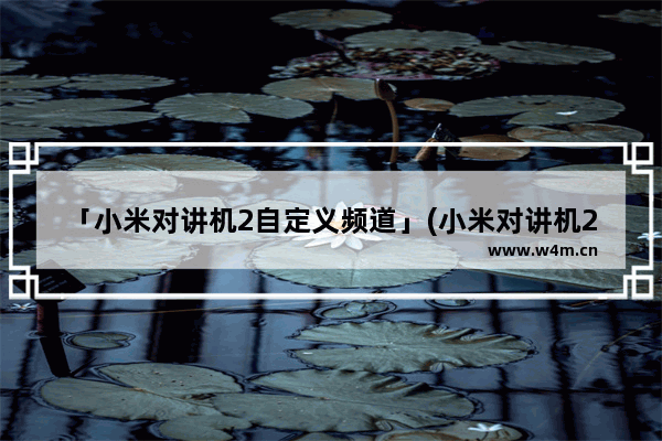 「小米对讲机2自定义频道」(小米对讲机2自定义频道违反规定吗)