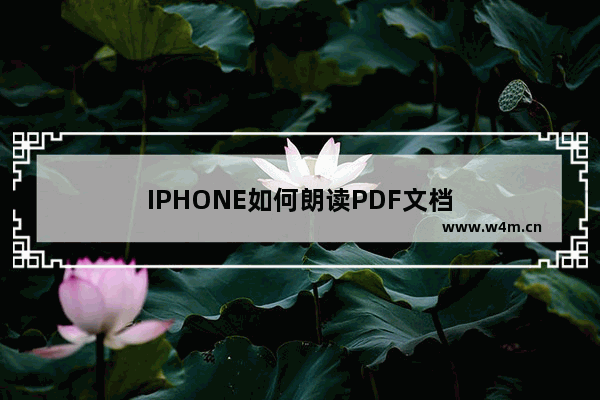 IPHONE如何朗读PDF文档