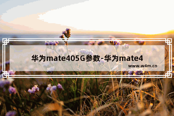 华为mate405G参数-华为mate405g参数配置详情