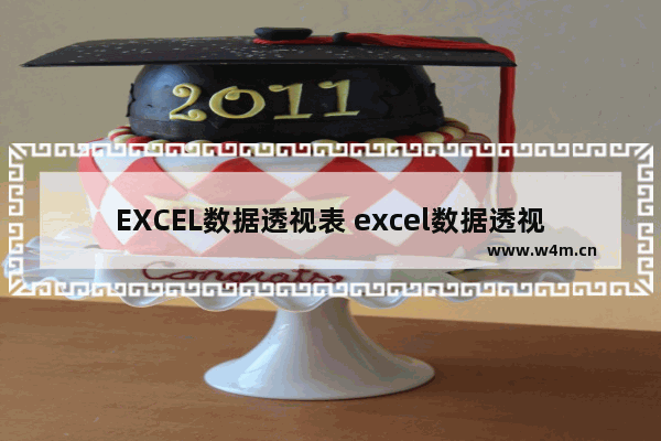 EXCEL数据透视表 excel数据透视表的操作及使用技巧课程评估