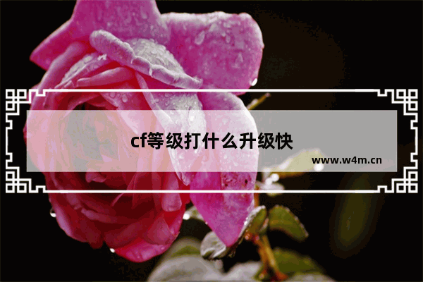 cf等级打什么升级快