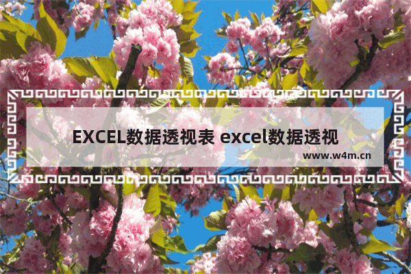 EXCEL数据透视表 excel数据透视表的操作及使用技巧课程评估